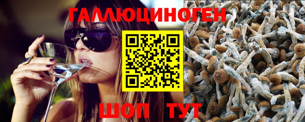 Псилоцибиновые грибы MAGIC MUSHROOMS Краснознаменск