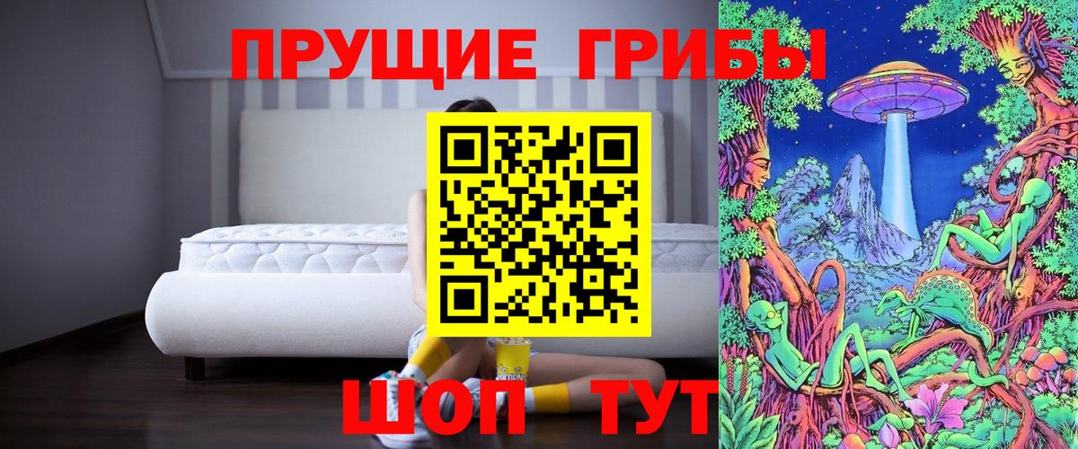 цена   Псилоцибиновые грибы Magic Shrooms  Псилоцибиновые грибы ЛСД  Вход с VPN  Краснознаменск 